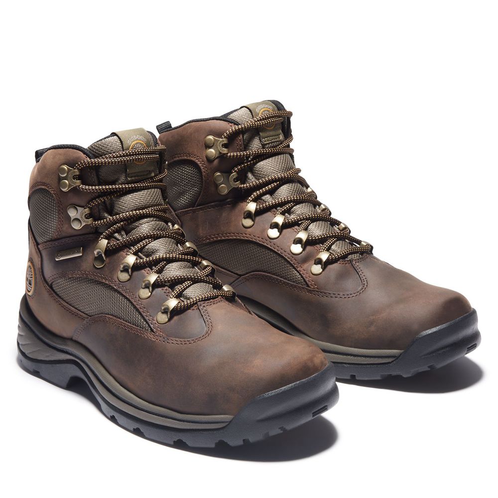 Botas de Caminhada Masculino - Timberland Chocorua Trail Mid Impermeavel - LTAUC4201 - Marrom